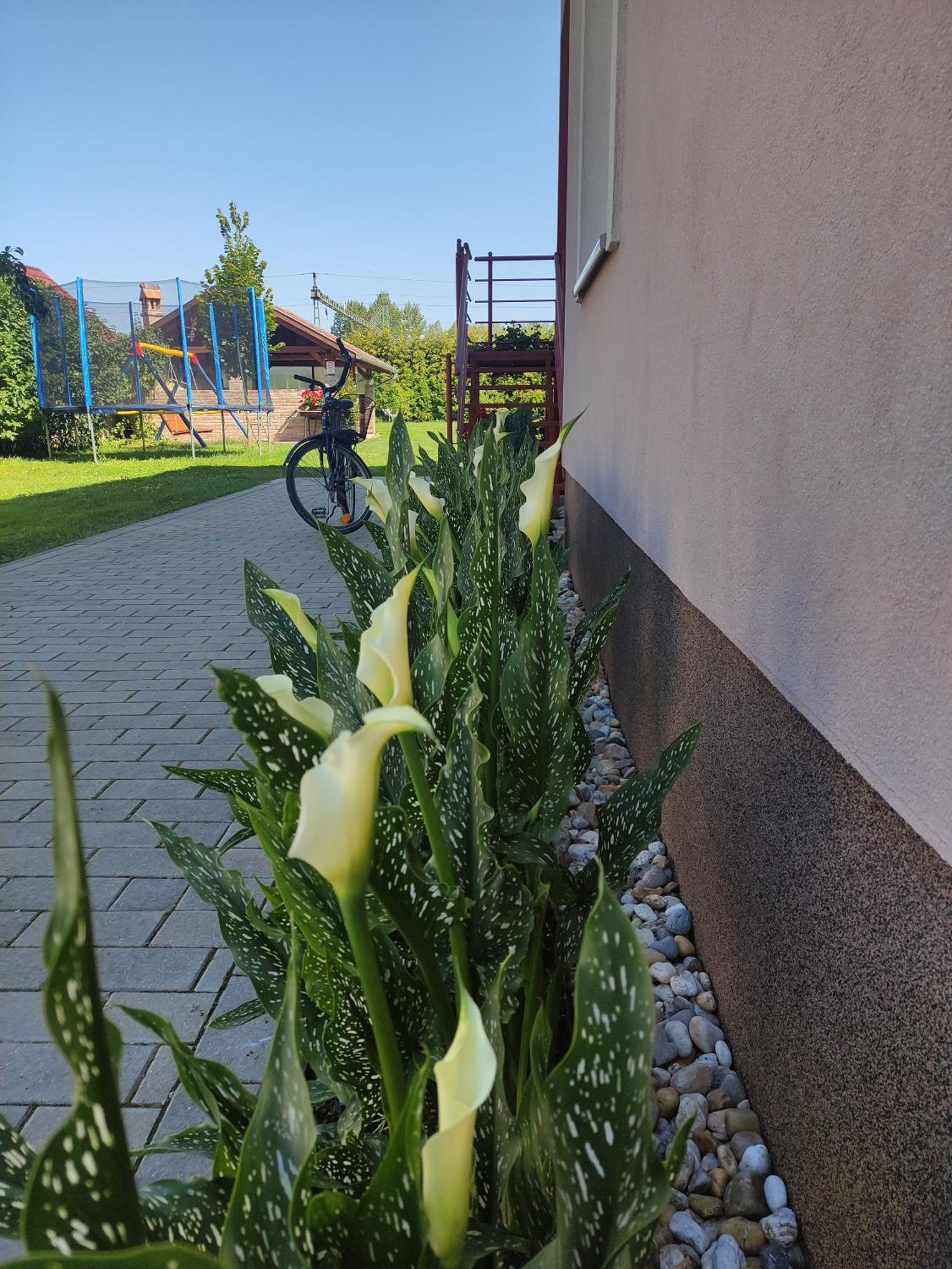 Orgona Vendeghaz Hotel Murakeresztur Bagian luar foto